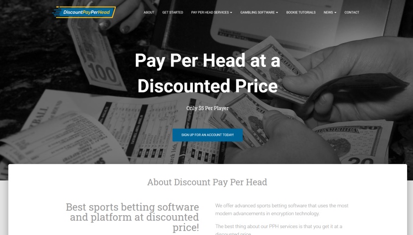 DiscountPayPerHead.com Pay Per Head Review