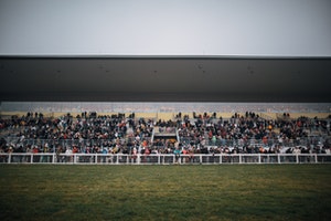 Juddmonte International