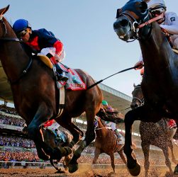 Sportsbook Guide to Horse Racing for Beginners