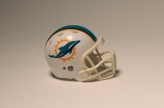 Miami Dolphins Win Black Friday Game