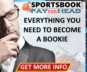 Learn How to Become a Bookie the Fast and Easy Way